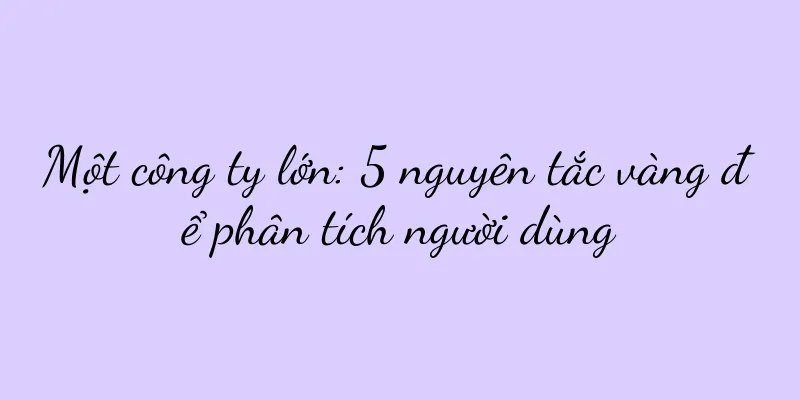 Một công ty lớn: 5 nguyên tắc vàng để phân tích người dùng