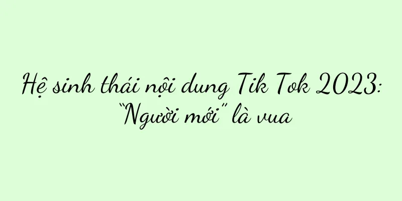 Hệ sinh thái nội dung Tik Tok 2023: “Người mới” là vua