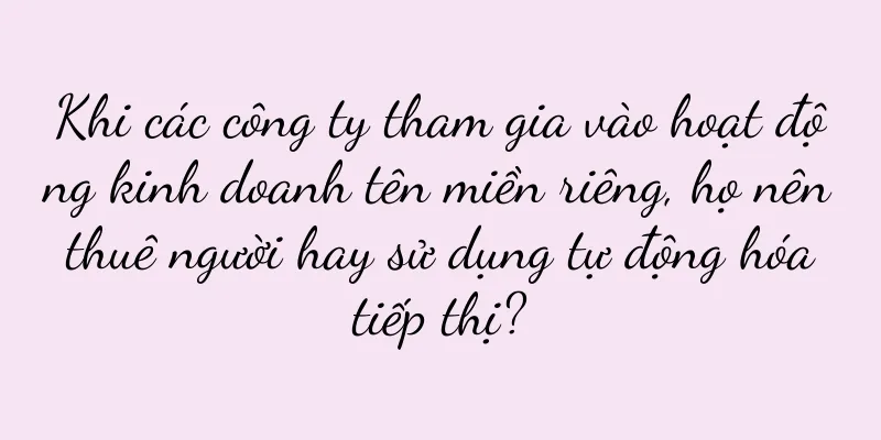 Khi các công ty tham gia vào hoạt động kinh doanh tên miền riêng, họ nên thuê người hay sử dụng tự động hóa tiếp thị?