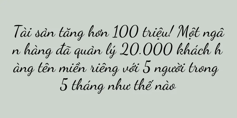 Tài sản tăng hơn 100 triệu! Một ngân hàng đã quản lý 20.000 khách hàng tên miền riêng với 5 người trong 5 tháng như thế nào