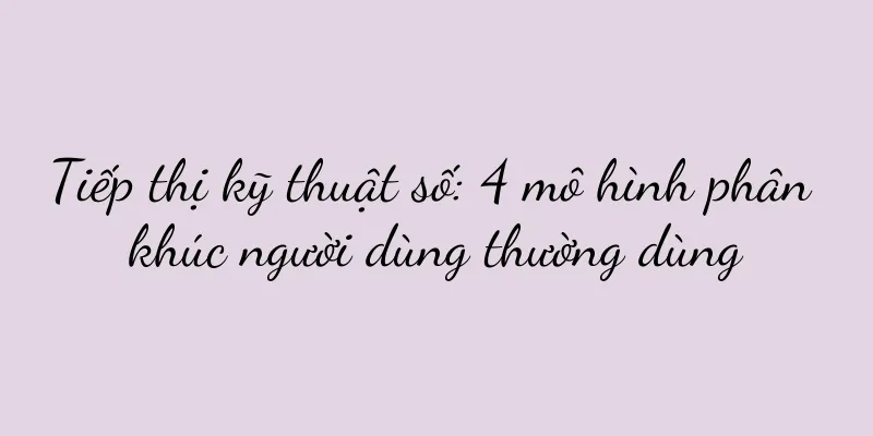 Tiếp thị kỹ thuật số: 4 mô hình phân khúc người dùng thường dùng