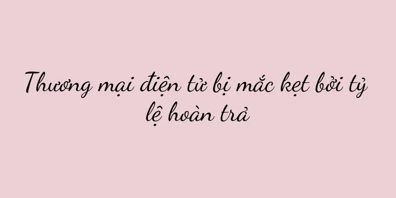 Thương mại điện tử bị mắc kẹt bởi tỷ lệ hoàn trả
