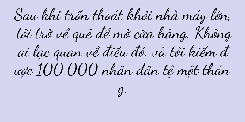Sau khi trốn thoát khỏi nhà máy lớn, tôi trở về quê để mở cửa hàng. Không ai lạc quan về điều đó, và tôi kiếm được 100.000 nhân dân tệ một tháng.
