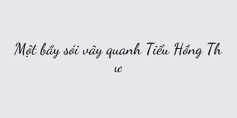 Một bầy sói vây quanh Tiểu Hồng Thư