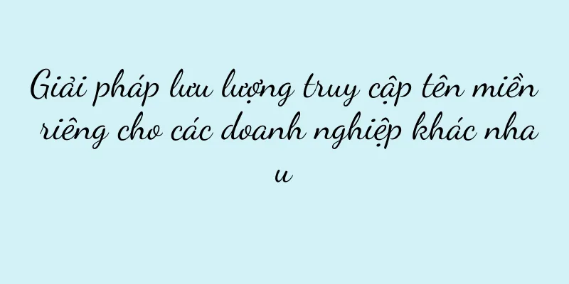 Giải pháp lưu lượng truy cập tên miền riêng cho các doanh nghiệp khác nhau