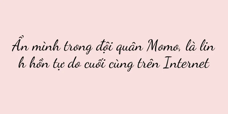 Ẩn mình trong đội quân Momo, là linh hồn tự do cuối cùng trên Internet