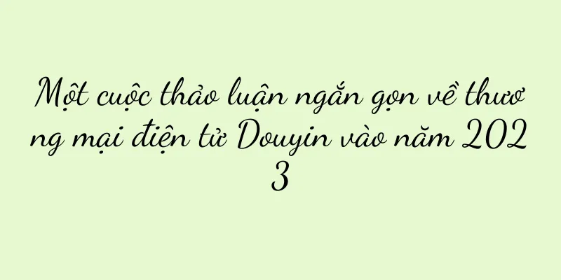 Một cuộc thảo luận ngắn gọn về thương mại điện tử Douyin vào năm 2023