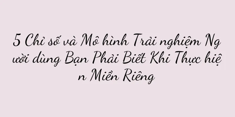5 Chỉ số và Mô hình Trải nghiệm Người dùng Bạn Phải Biết Khi Thực hiện Miền Riêng