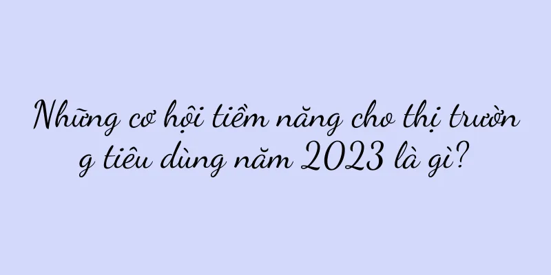 Những cơ hội tiềm năng cho thị trường tiêu dùng năm 2023 là gì?