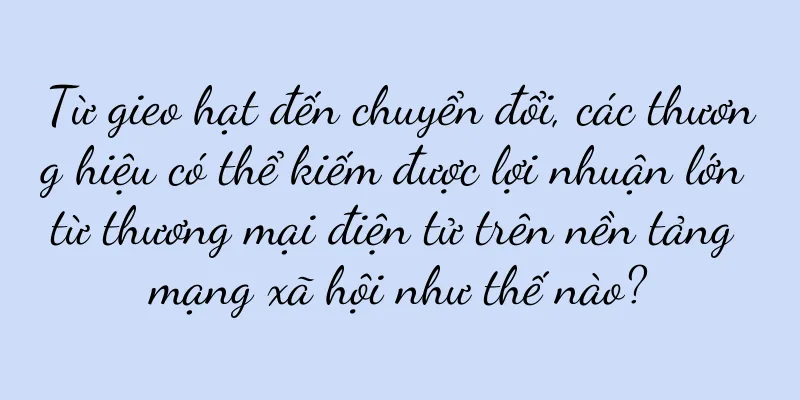 Từ gieo hạt đến chuyển đổi, các thương hiệu có thể kiếm được lợi nhuận lớn từ thương mại điện tử trên nền tảng mạng xã hội như thế nào?