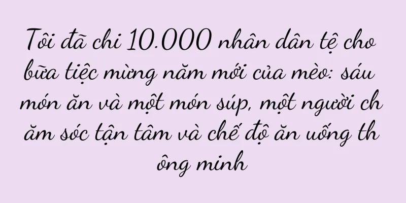 Tôi đã chi 10.000 nhân dân tệ cho bữa tiệc mừng năm mới của mèo: sáu món ăn và một món súp, một người chăm sóc tận tâm và chế độ ăn uống thông minh