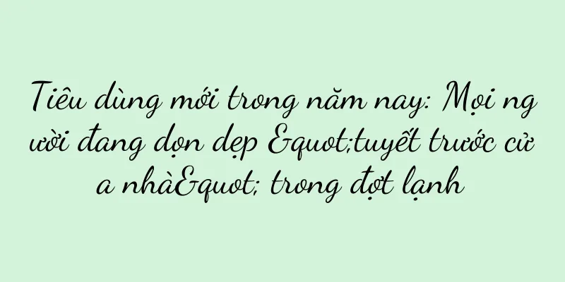 Tiêu dùng mới trong năm nay: Mọi người đang dọn dẹp "tuyết trước cửa nhà" trong đợt lạnh