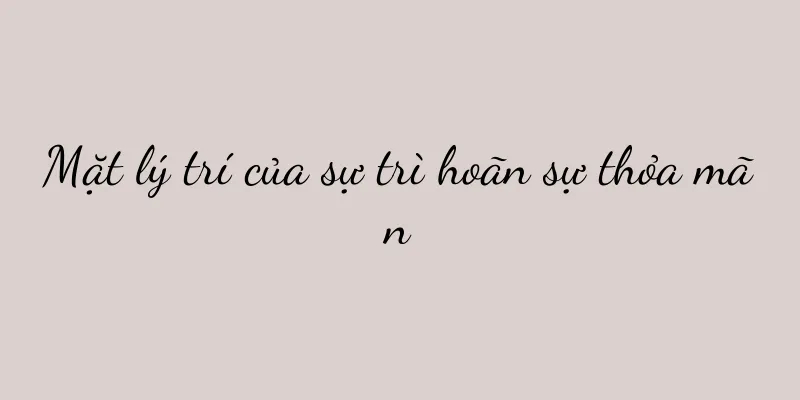 Mặt lý trí của sự trì hoãn sự thỏa mãn