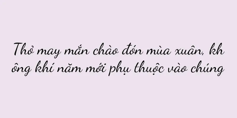 Thỏ may mắn chào đón mùa xuân, không khí năm mới phụ thuộc vào chúng