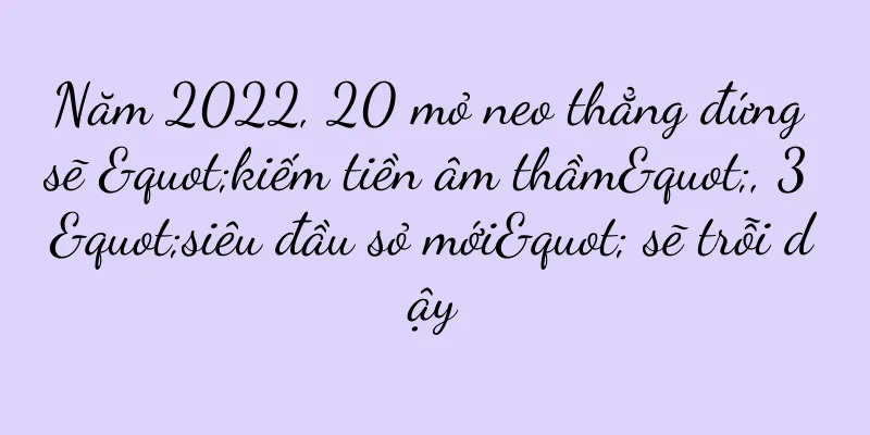 Năm 2022, 20 mỏ neo thẳng đứng sẽ "kiếm tiền âm thầm", 3 "siêu đầu sỏ mới" sẽ trỗi dậy
