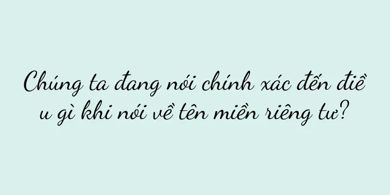 Chúng ta đang nói chính xác đến điều gì khi nói về tên miền riêng tư?