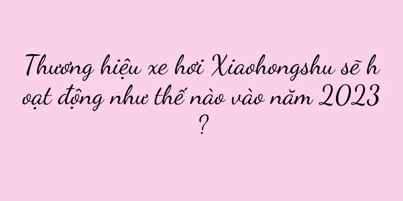 Thương hiệu xe hơi Xiaohongshu sẽ hoạt động như thế nào vào năm 2023?