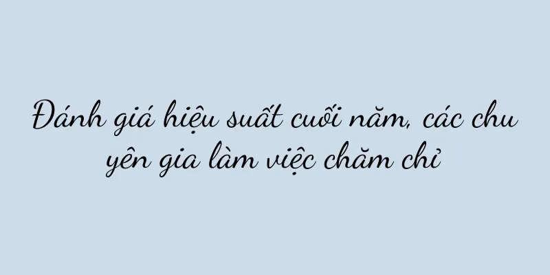 Đánh giá hiệu suất cuối năm, các chuyên gia làm việc chăm chỉ